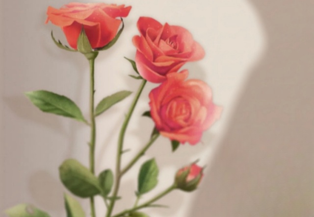 祝天下女神們節(jié)日快樂(lè)！?。? ></a>
                        <a href=